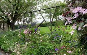 crooked barn flower borders