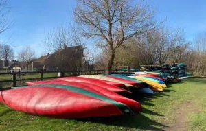kayaks in a row