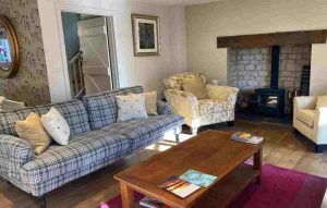 lounge area showing seating and fireplace